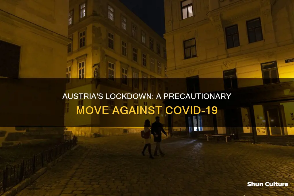 why is austria going into lockdown