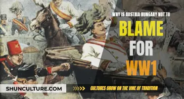 Austria-Hungary: Not the Culprits of World War I?