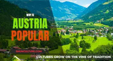 Unveiling Austria's Charm: A Journey to the Alps and Beyond