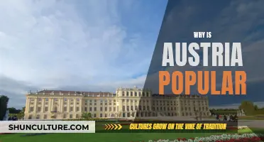 Austria's Allure: What Makes it So Popular?