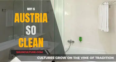 Austria's Cleanliness: A Cultural Norm and Practice