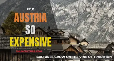 Unraveling Austria's Price Tag: A Journey to Affordability