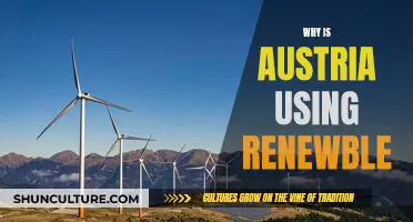 Austria's Renewable Revolution: Powering a Sustainable Future