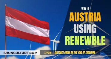 Austria's Renewable Energy: A Sustainable Future