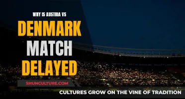 Austria-Denmark Match Delay: What Caused It?