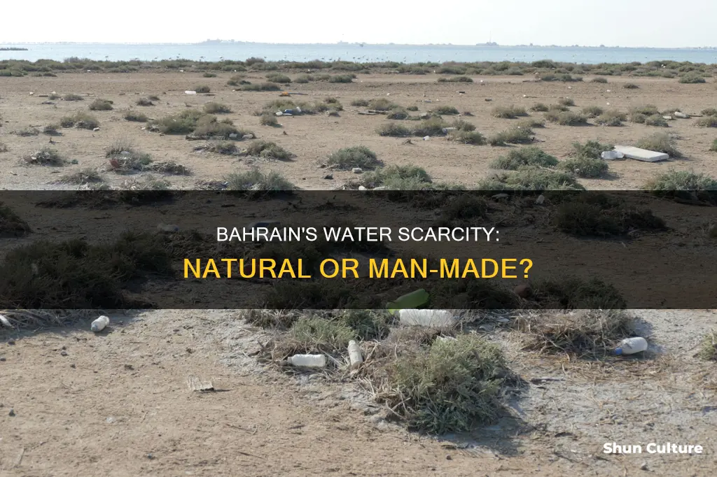 why is bahrain a water poor country