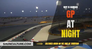 Bahrain GP: Night Racing Explained