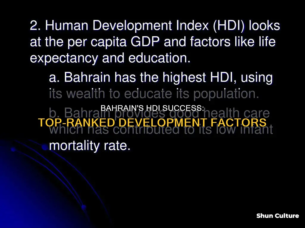 why is bahrain number one on hdi