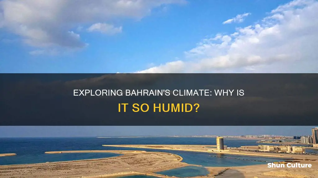 why is bahrain so humid