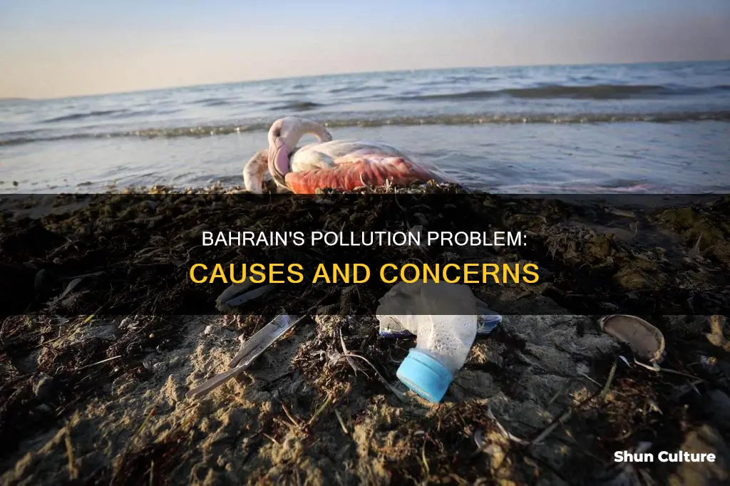 why is bahrain so polluted