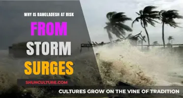 Bangladesh's Vulnerability: Understanding the Threat of Devastating Storm Surges