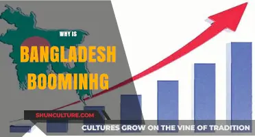 Bangladesh's Economic Boom: Unlocking Growth, Innovation, and Global Opportunities