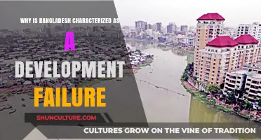 Bangladesh's Development Struggles: Unraveling the Myths of Economic Failure