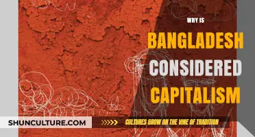 Exploring Bangladesh's Economic Model: Capitalism's Rise and Impact