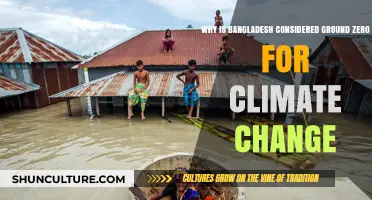 Bangladesh: The Epicenter of Climate Change Impacts and Resilience