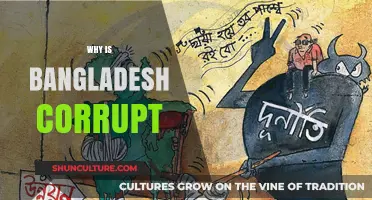 Root Causes of Corruption in Bangladesh: A Deep Dive