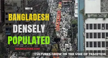 Exploring Bangladesh's Population Density: Factors Behind Its High Concentration
