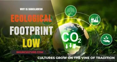 Bangladesh's Ecological Footprint: Unveiling the Secrets Behind Its Low Impact