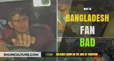 Why Bangladesh Cricket Fans Face Criticism: Unraveling the Negative Stereotypes