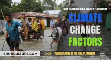 Climate Crisis: Unraveling Bangladesh's Devastating Floods and Their Causes