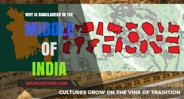 Bangladesh's Strategic Location: Surrounded by India's Embrace and Its Impact