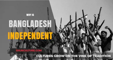 The Historic Journey to Bangladesh's Independence: A Nation's Struggle and Triumph