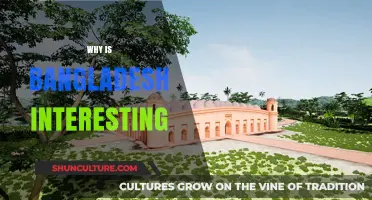 Discover Bangladesh: A Cultural, Natural, and Historical Gem of Asia