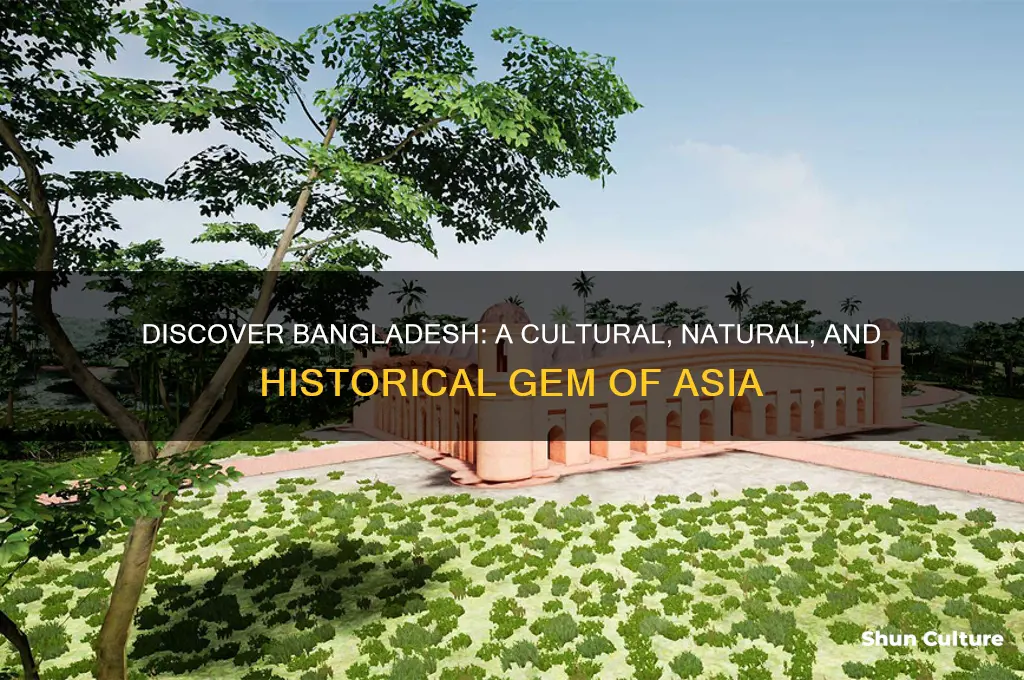 why is bangladesh interesting