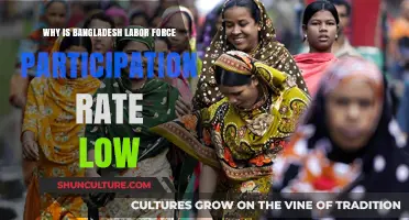 Understanding Bangladesh's Low Labor Force Participation Rate: Causes and Implications