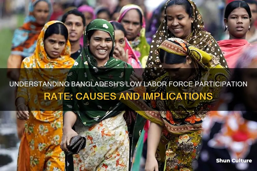 why is bangladesh labor force participation rate low