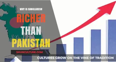 Bangladesh's Economic Rise: Surpassing Pakistan's Wealth and Development