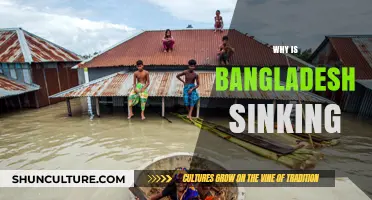 Bangladesh Sinking: Unraveling the Crisis of Land Loss and Climate Change