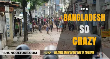Exploring Bangladesh's Unique Chaos: Culture, Traffic, and Vibrant Energy Explained