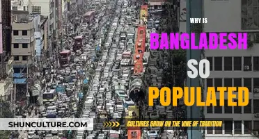 Exploring Bangladesh's Population Boom: Factors Behind Its Dense Demographics
