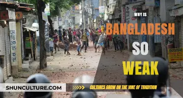 Understanding Bangladesh's Struggles: Factors Behind Its Perceived Weakness