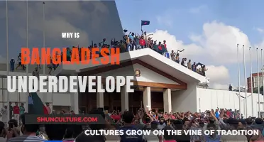 Why Bangladesh Struggles: Unraveling the Roots of Underdevelopment