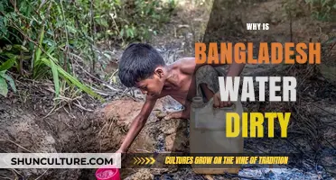 Dirty Water Crisis in Bangladesh: Causes and Urgent Solutions Needed