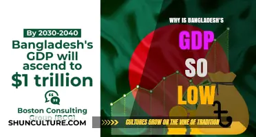 Understanding Bangladesh's Economic Challenges: Why Is Its GDP So Low?
