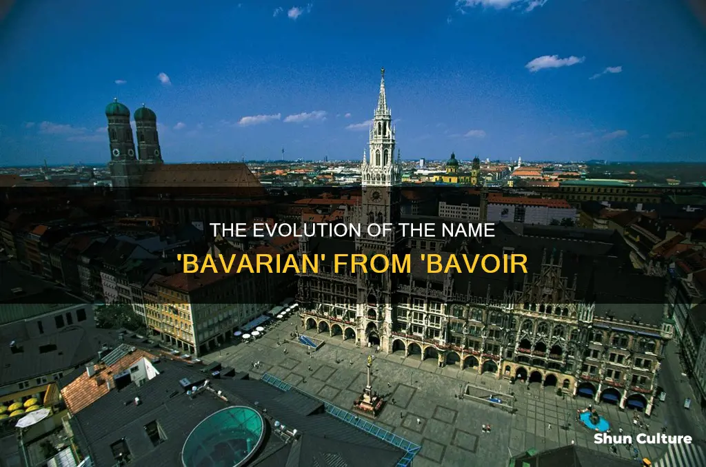 why is bavoir called bavarian