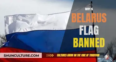 Belarus' Flag: Banned for Its Soviet Legacy