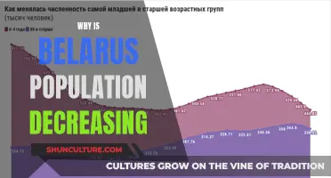 Belarus' Population Decline: Reasons Behind the Drop