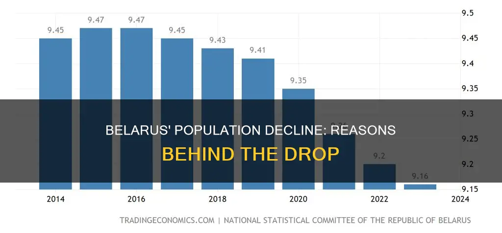 why is belarus population decreasing