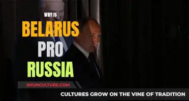 Belarus-Russia Ties: Historical Friends and Allies