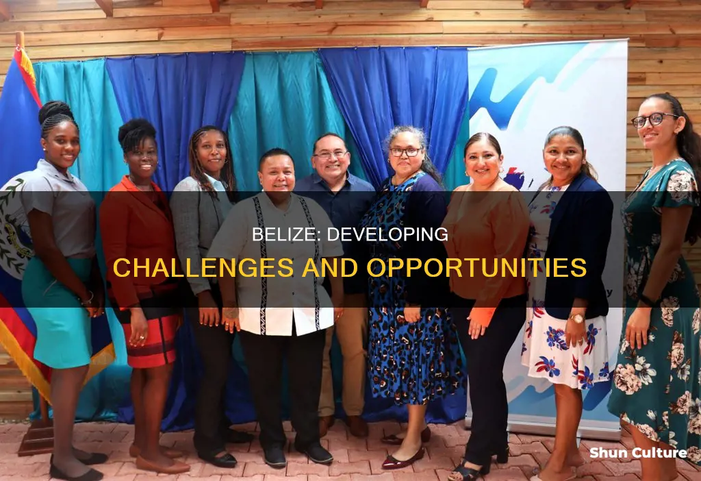 why is belize a developing country