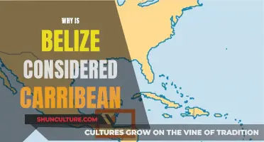 Belize: Caribbean or Not?