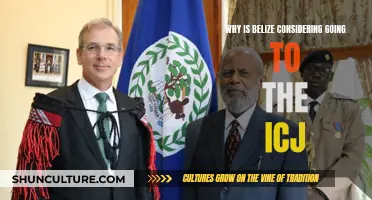 Belize Mulls ICJ to Resolve Border Dispute