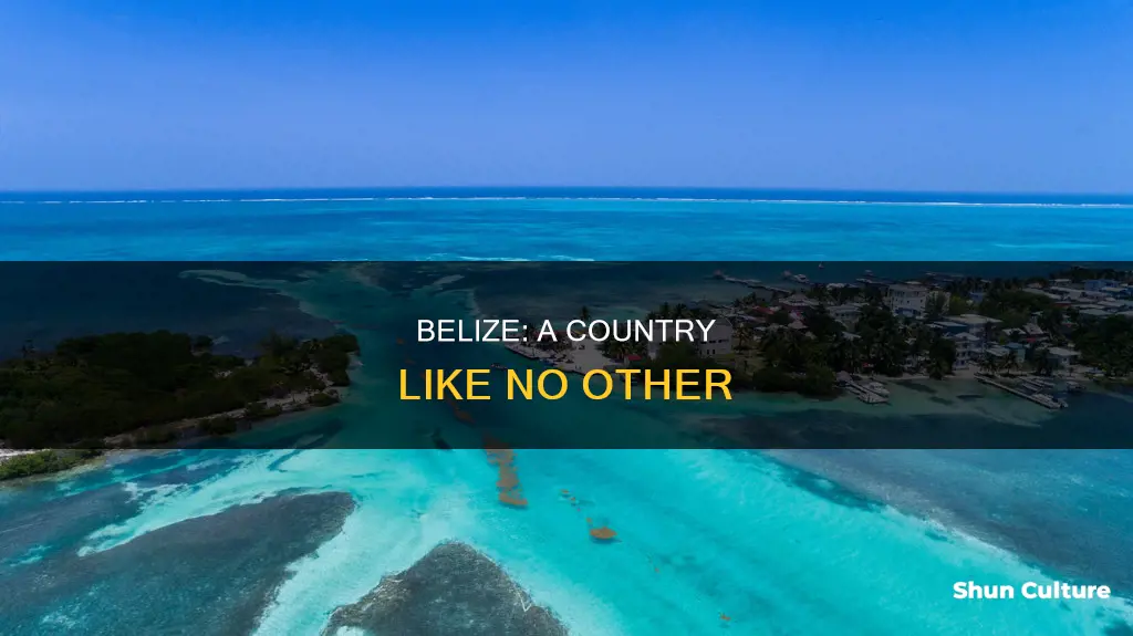 why is belize different