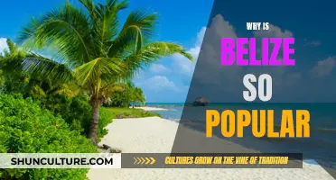 Belize's Allure: Sun, Sea, and Adventure