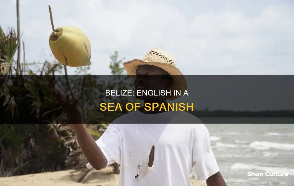 why is belize the only english speaking country