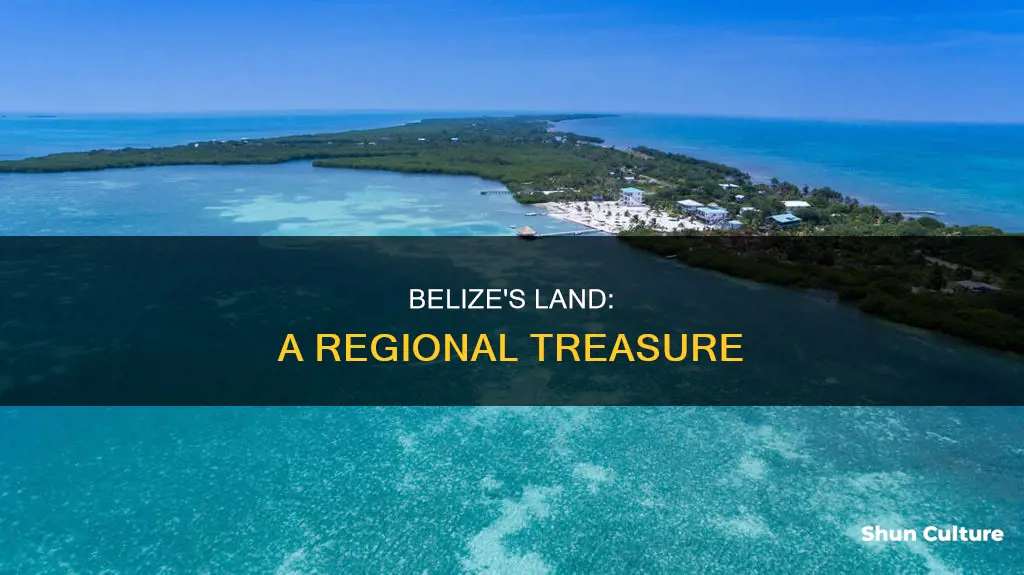 why is belize